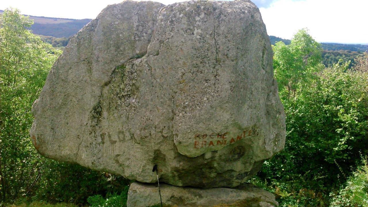 Lilas, Gite Saint Antoine, Orcival, Entre Sancy Et Volcans. Экстерьер фото