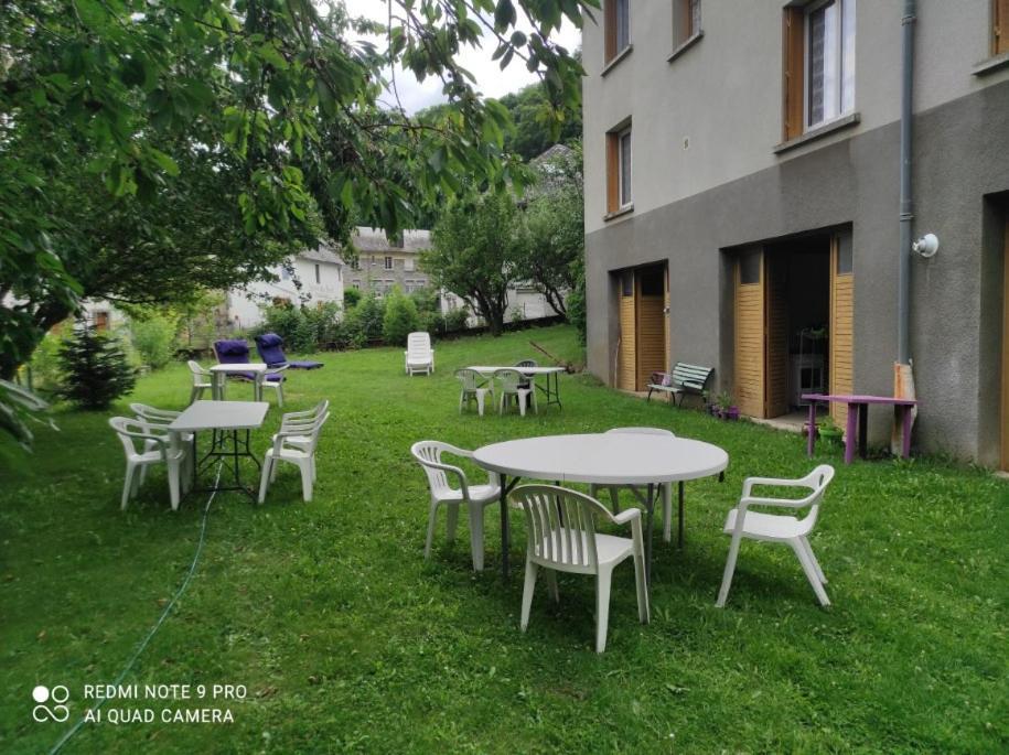 Lilas, Gite Saint Antoine, Orcival, Entre Sancy Et Volcans. Экстерьер фото