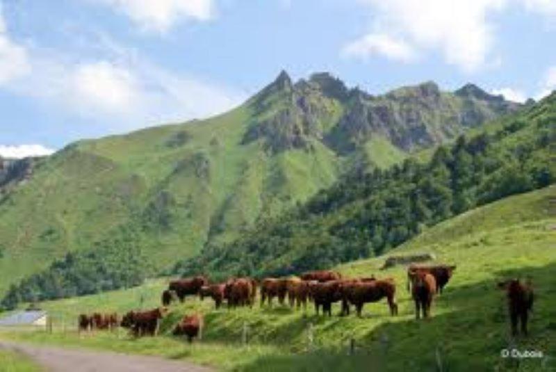 Lilas, Gite Saint Antoine, Orcival, Entre Sancy Et Volcans. Экстерьер фото